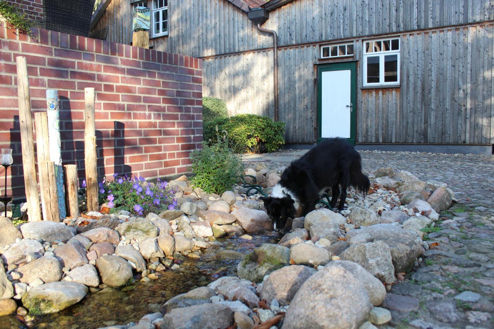 Landgasthof Wildwasser Wolthausen Exteriör bild